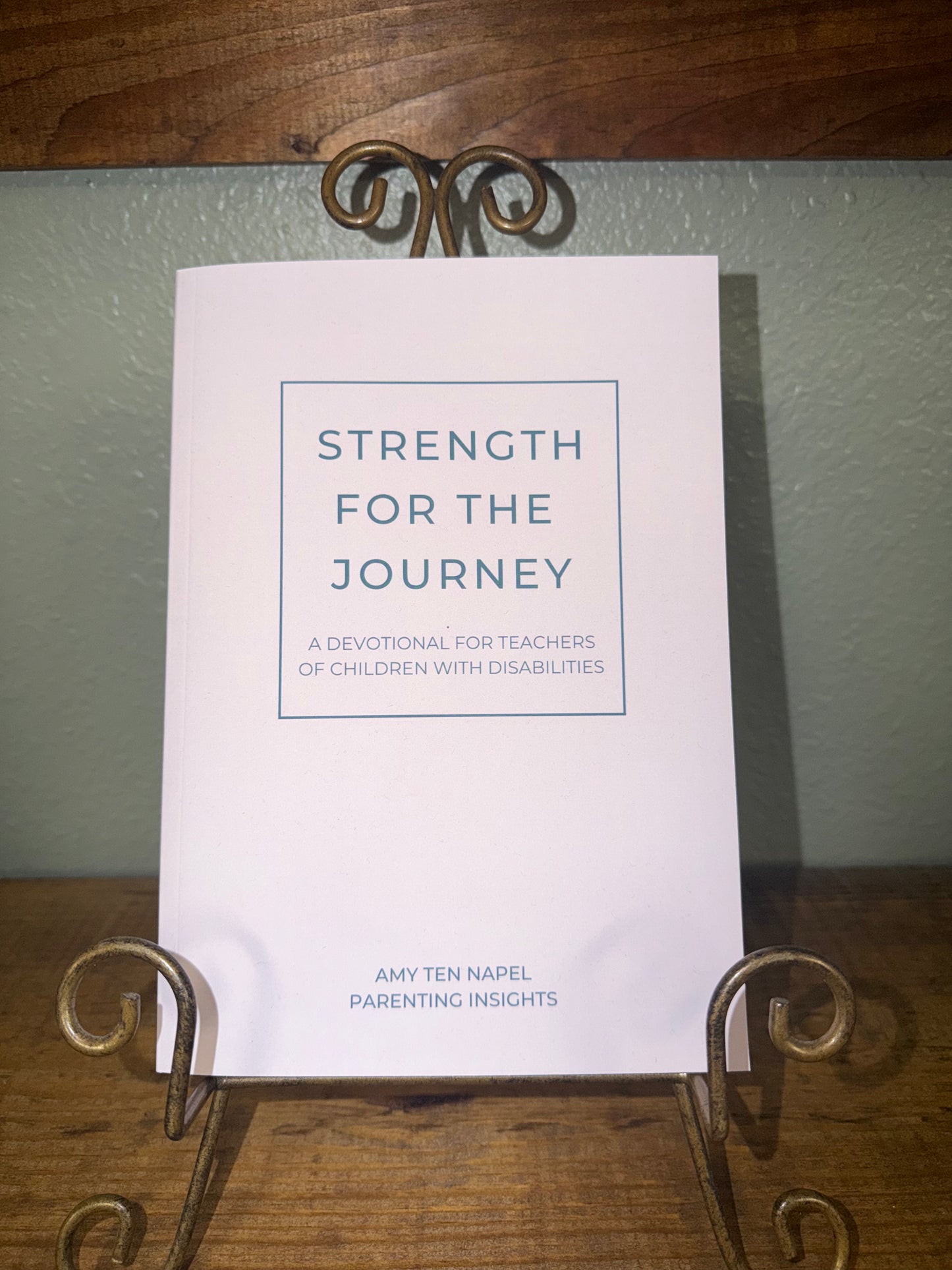 Strength for the Journey: A Devotional for Teachers of Children with Disabilities